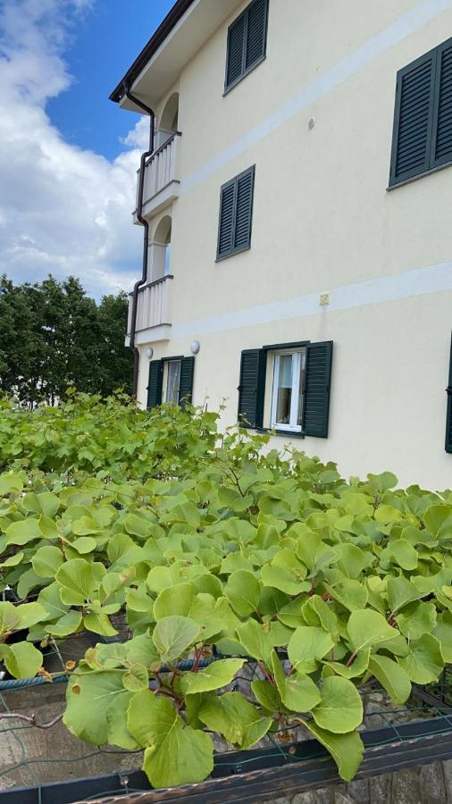 Vila Luca Island Krk / マリンスカ エクステリア 写真